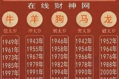 2023年什么年